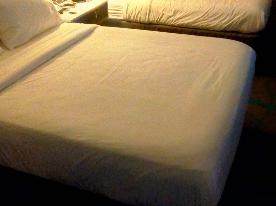 Holiday Inn Express & Suites Litchfield West By IHG主图