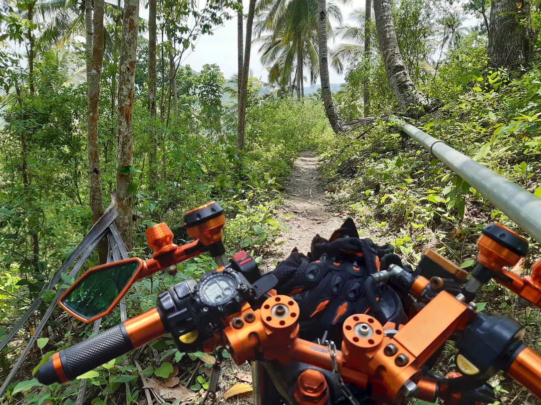 Montpellier Falls-Alegria必去景点