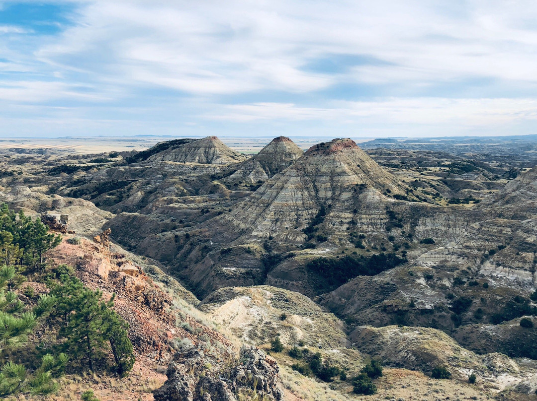 The Historic Kempton Hotel主图