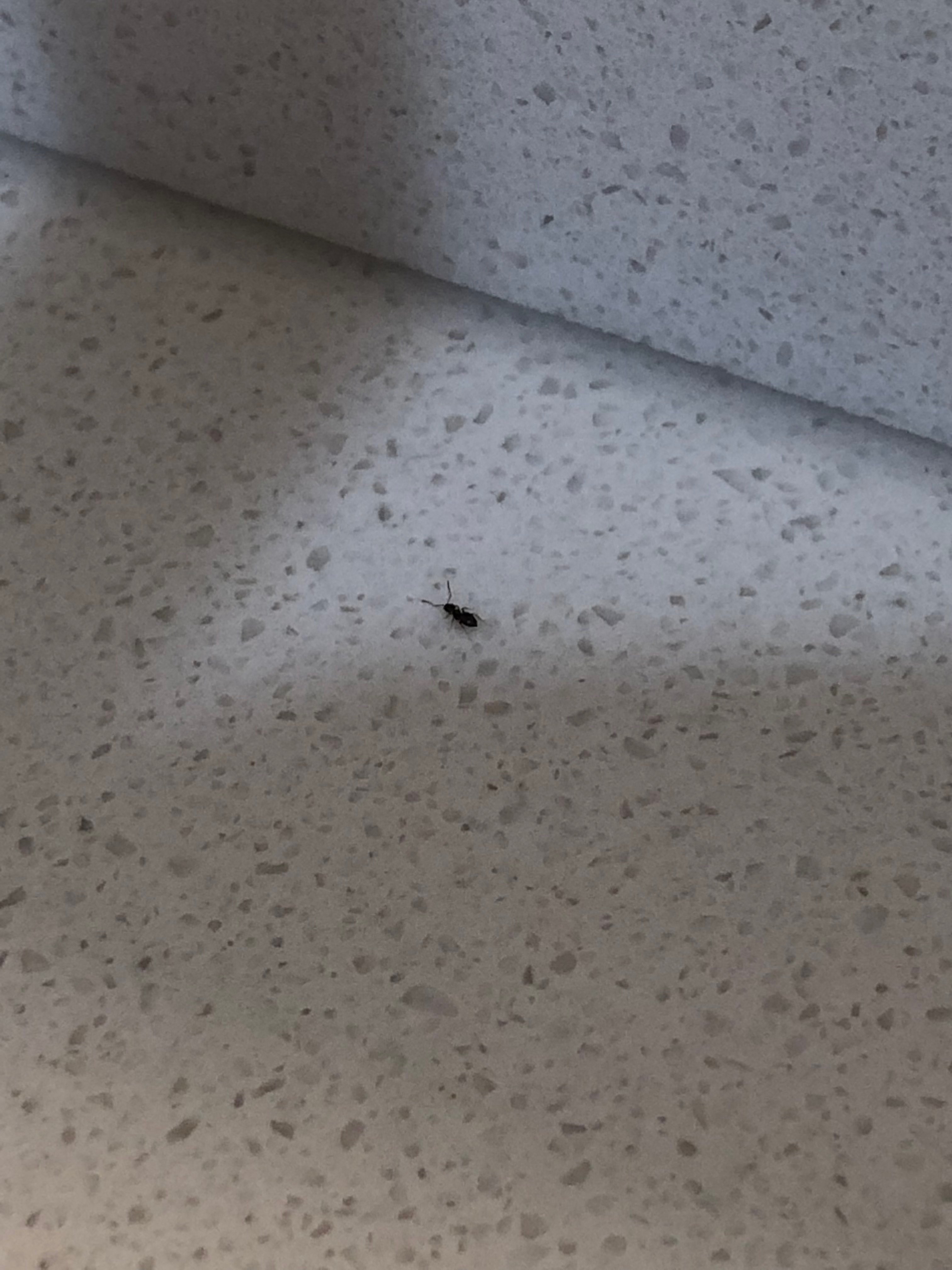 Hampton Inn & Suites Dallas/Richardson-浴室