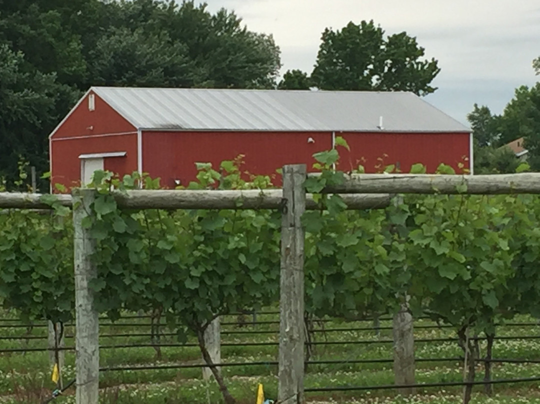 Monroeville Vineyard & Winery景点图片