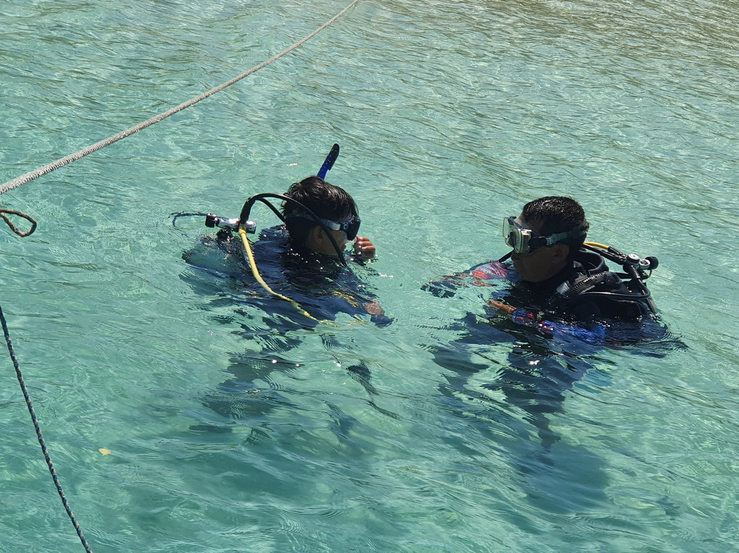 Frogman Dive Center-图卡卡斯必去景点