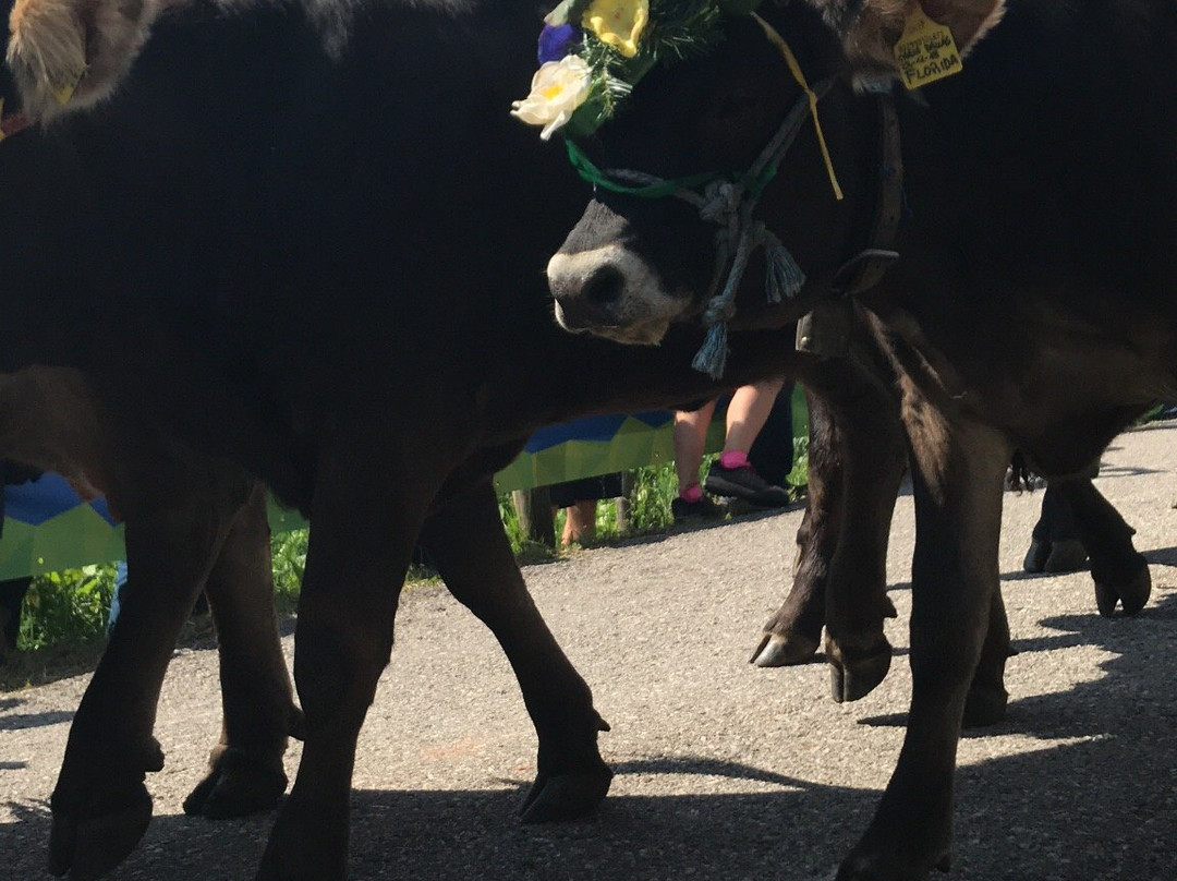 Altopiano di Boniprati-Prezzo必去景点