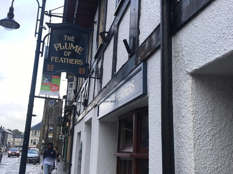 The Plume of Feathers