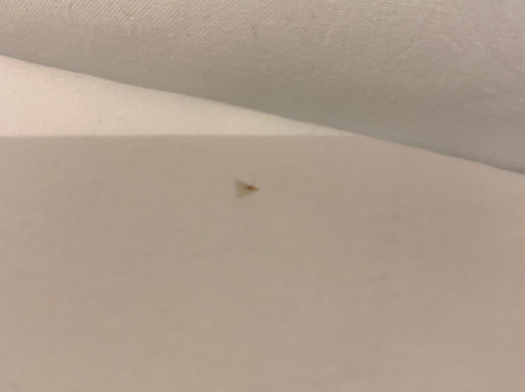 Hotel Christine主图