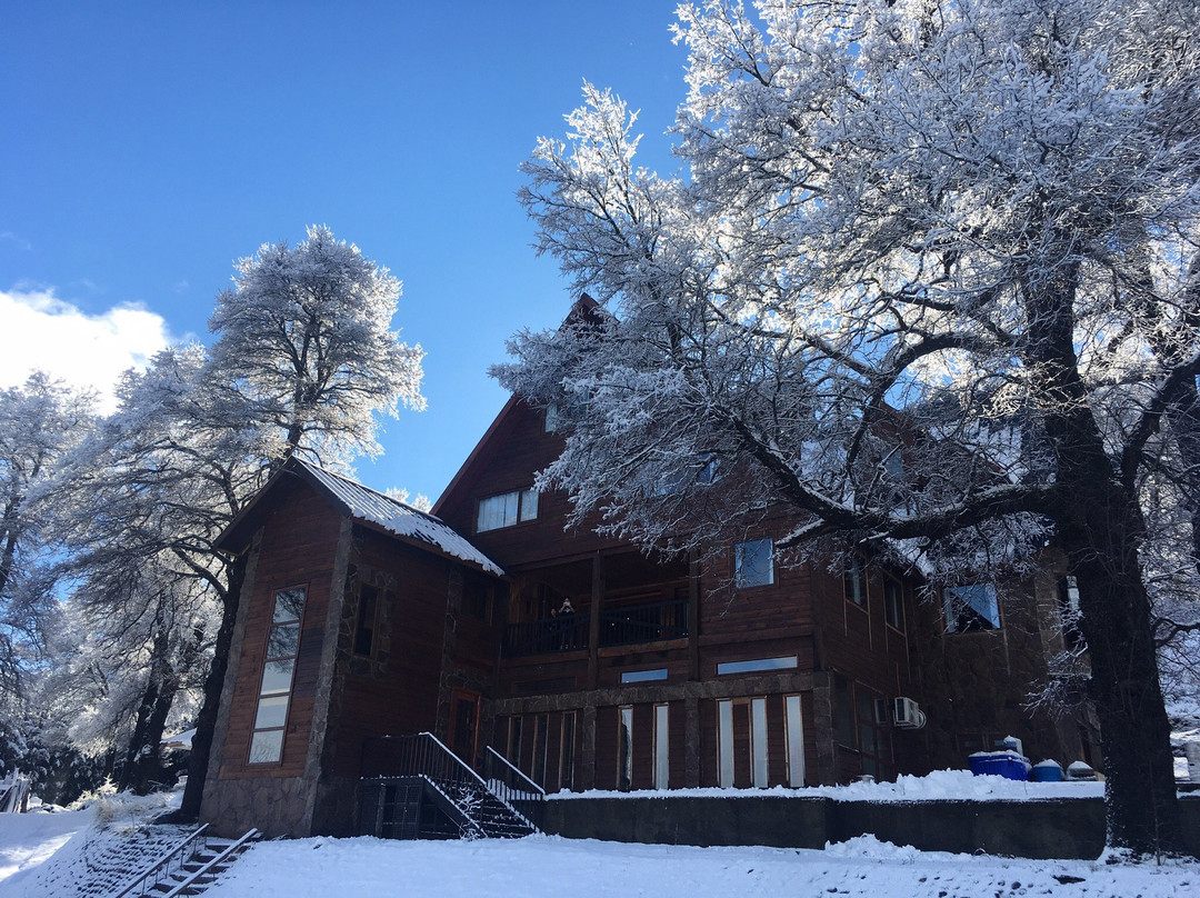 Araucania Region餐馆和美食-Cervecería Lonquimay