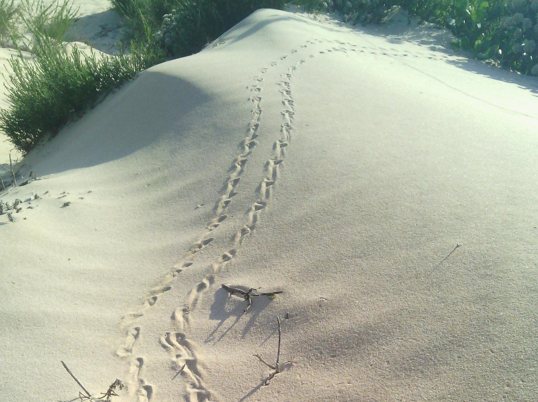 Guided Marine Tours - Port Elizabeth, South Africa-伊丽莎白港必去景点