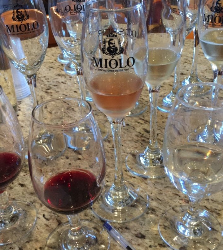 Miolo Wine Group景点图片