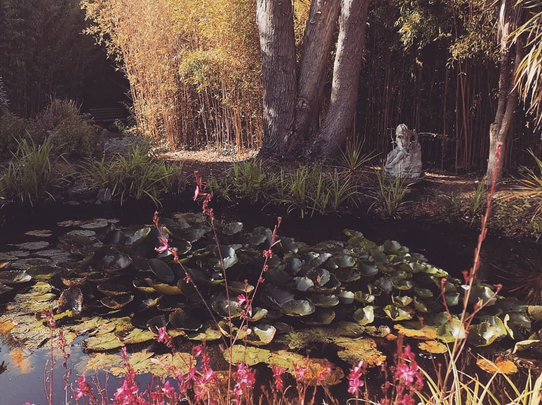 Les Mandalas Chambres d'Hotes主图