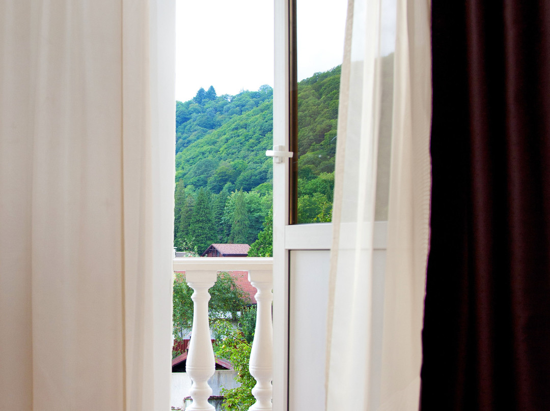 Utomlyonnye Solntsem主图