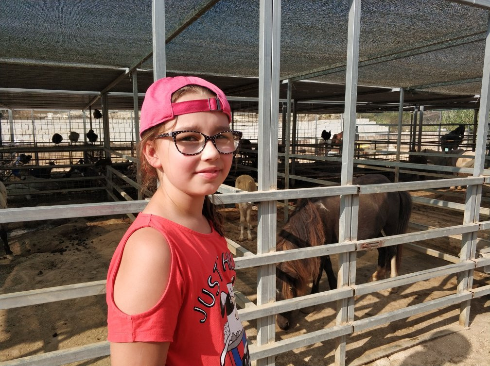 Dreams of Horses Farm-Xaghra必去景点