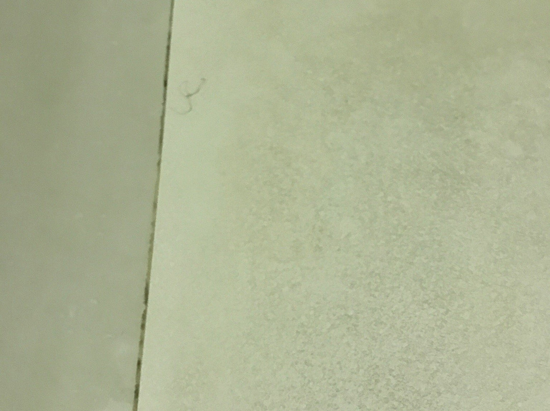 Super 8 by Wyndham Waynesboro主图