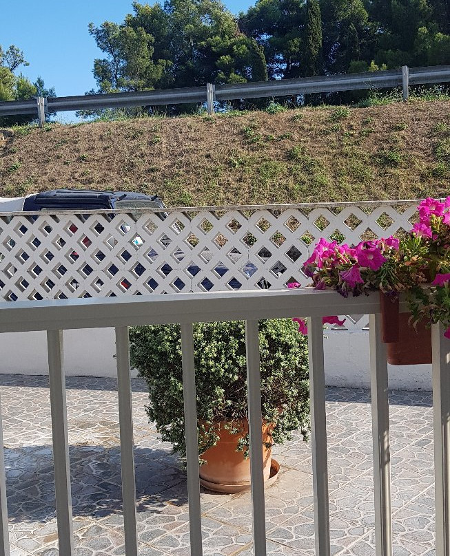 Mini Hotel & Casale Gli Ulivi主图