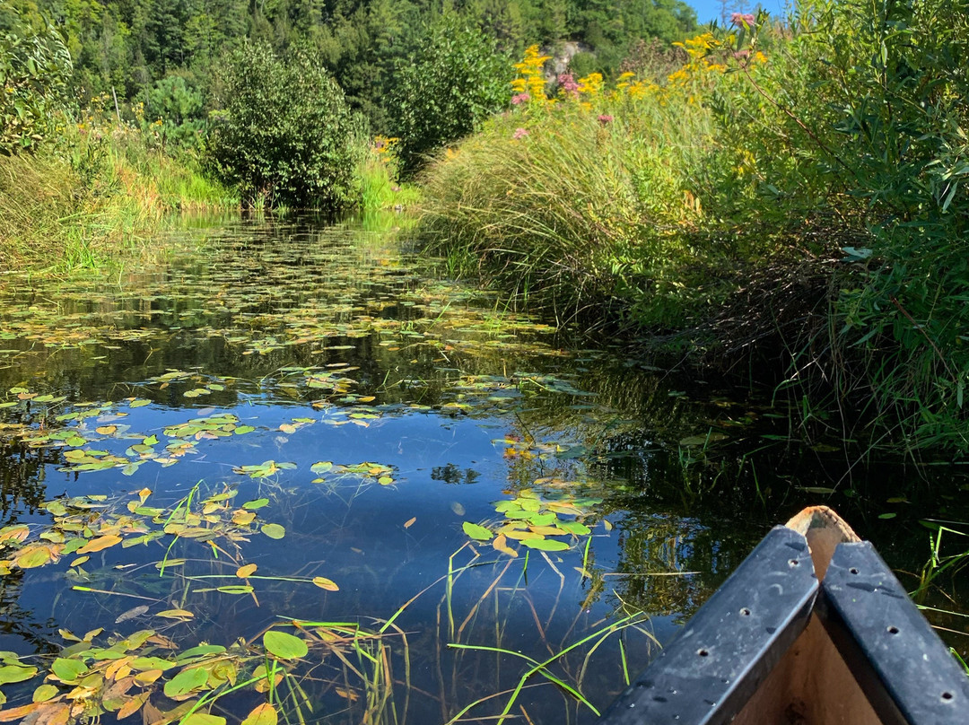Eco-Odyssee-Wakefield必去景点