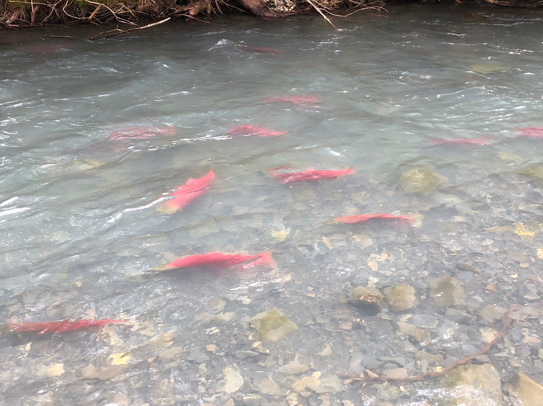 Bear Creek Weir-苏厄德必去景点