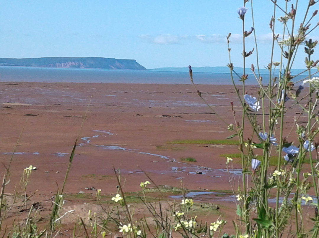 The Breeze Motel主图