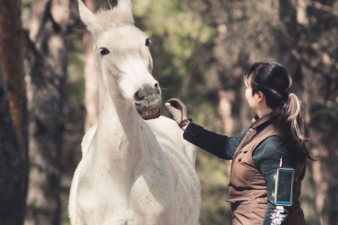 Impuls-Kulikovka必去景点