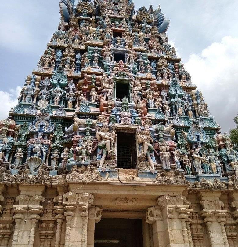 Vijayasasana Perumal Temple景点图片