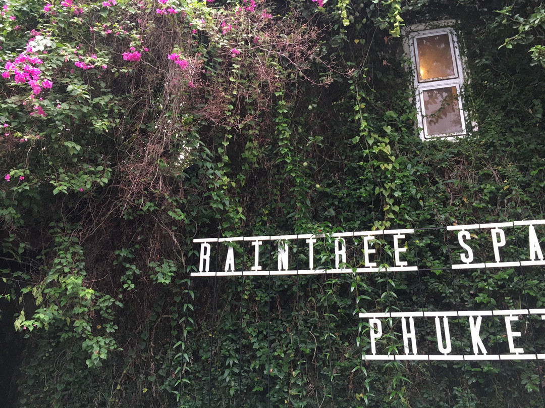 雨林Spa-普吉岛必去景点