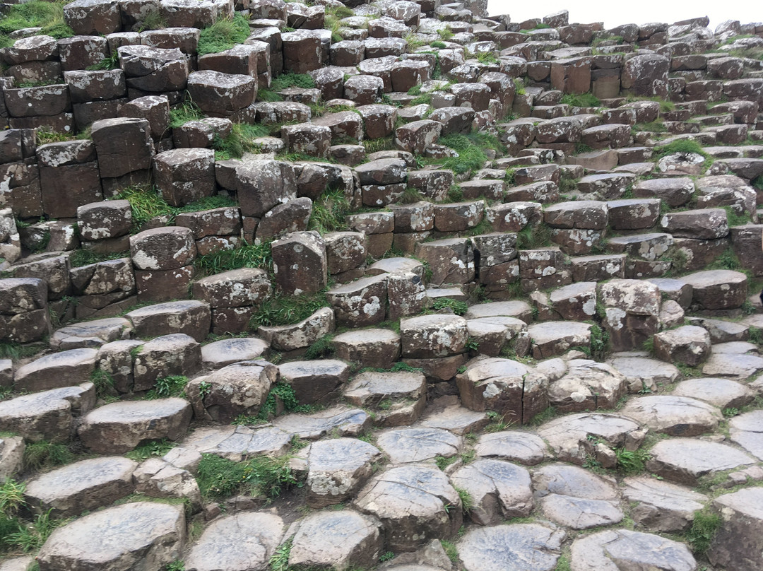 City and Causeway Tours-贝尔法斯特必去景点