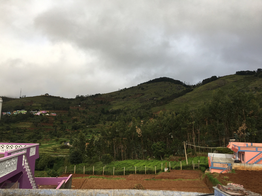 Mount 'n' Mist主图