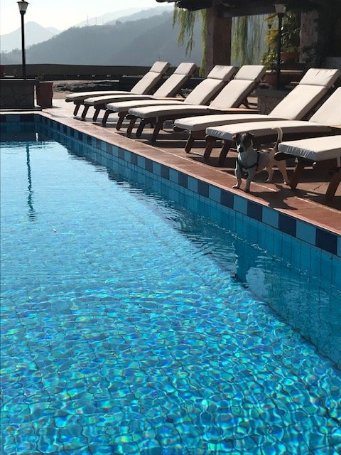 Resort Ninfea主图