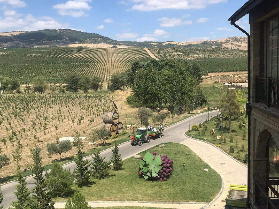 Nasimi's Wine Tours-巴库必去景点