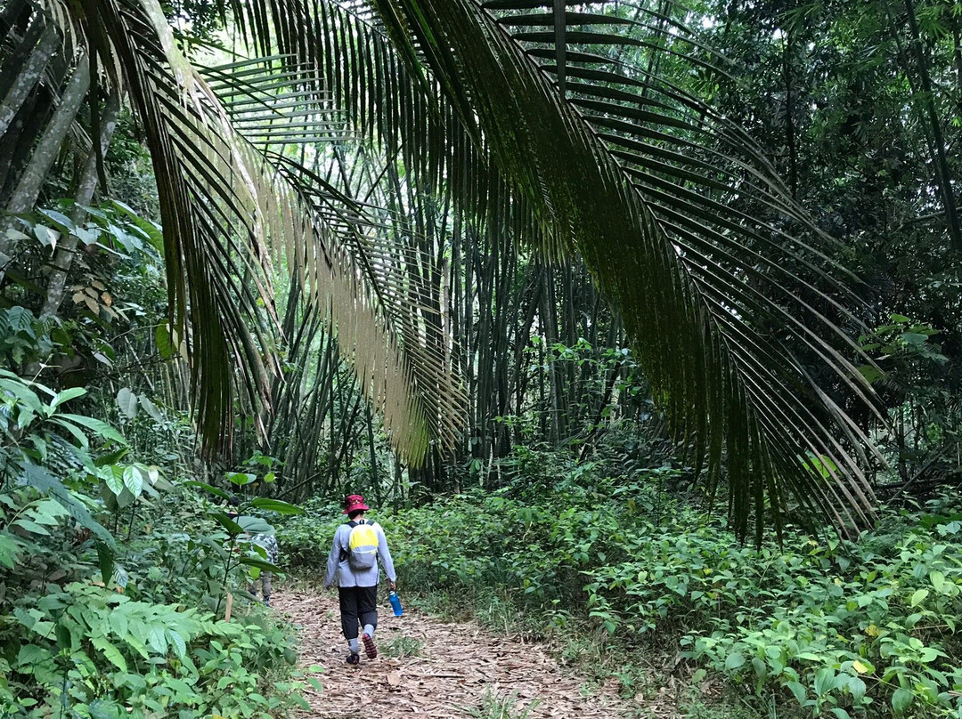 Resort Taman Eko Rimba Komanwel景点图片