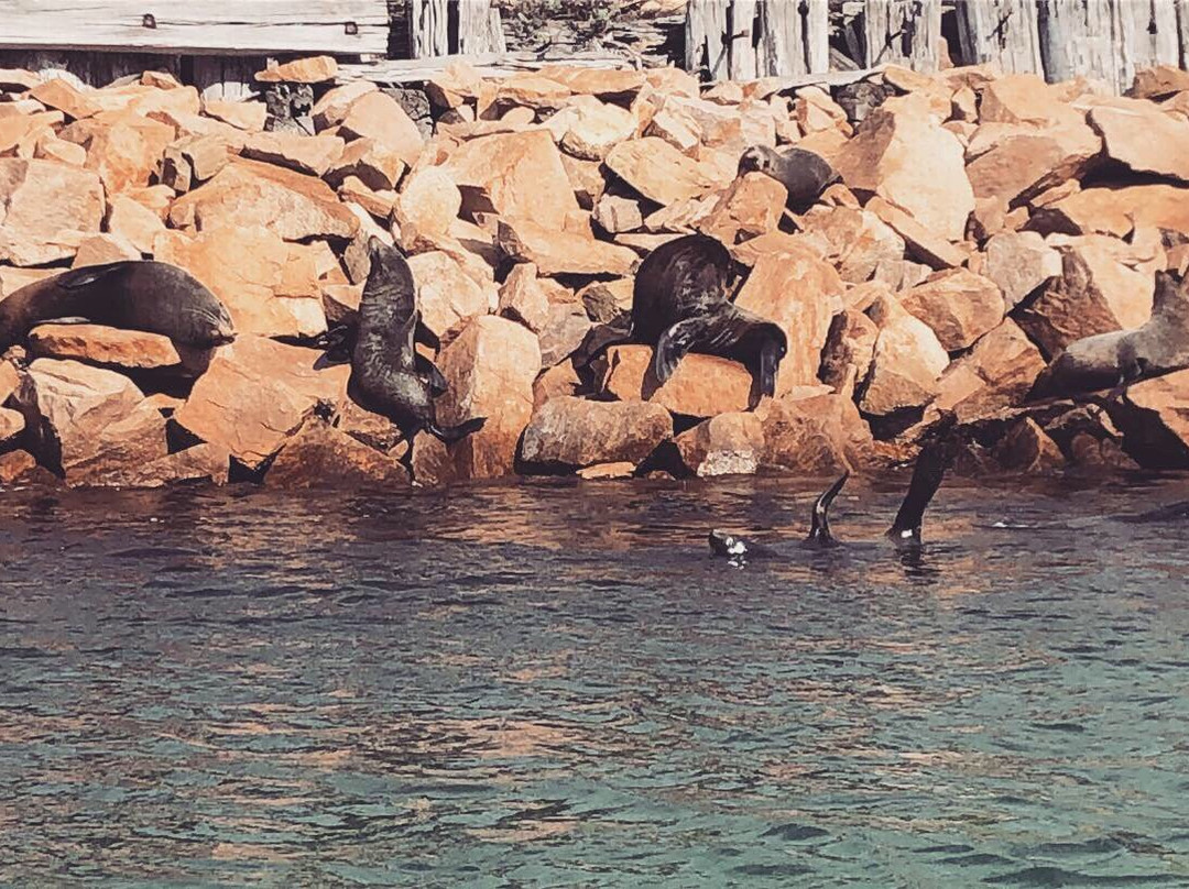 Lakes-Explorer: Wildlife Tours & Water-taxi-莱克斯恩特伦斯必去景点