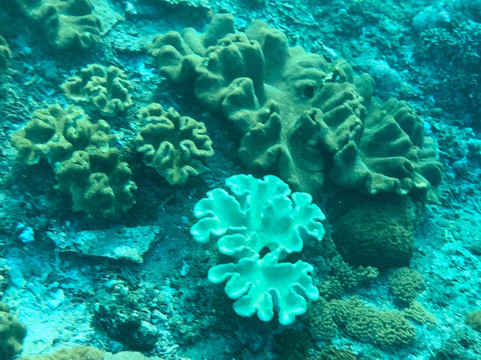 Dreaming About Penida-Toyapakeh必去景点