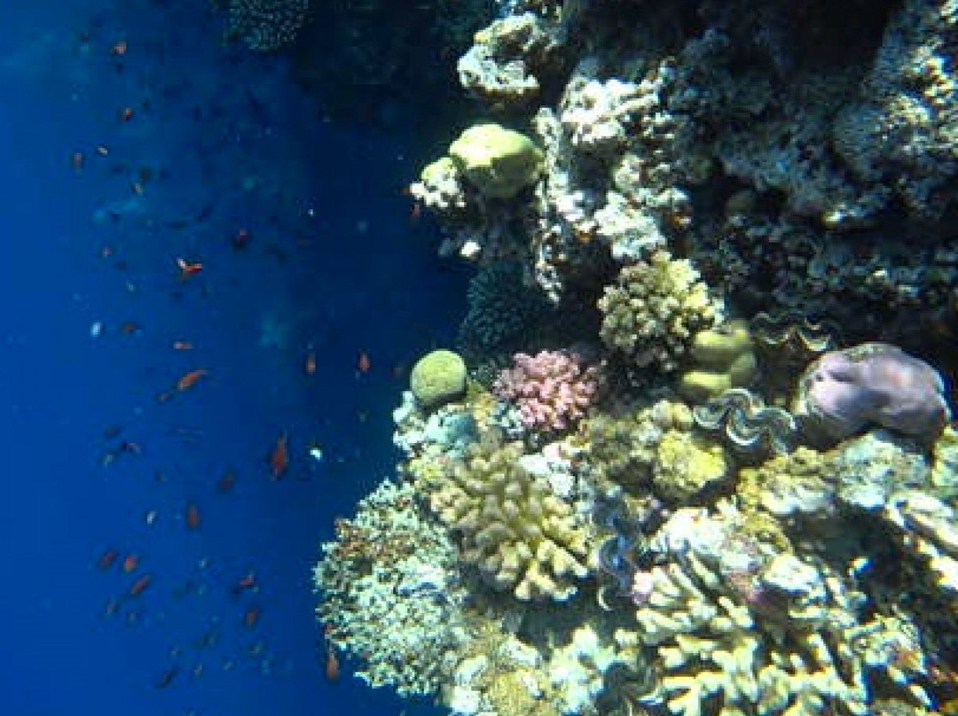 Coloured Canyon-塔巴必去景点