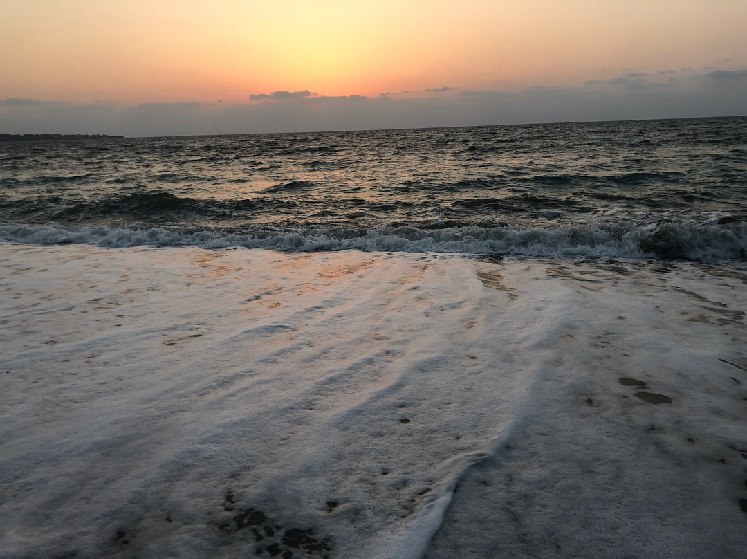 Pachyammos Beach-Pachyammos必去景点