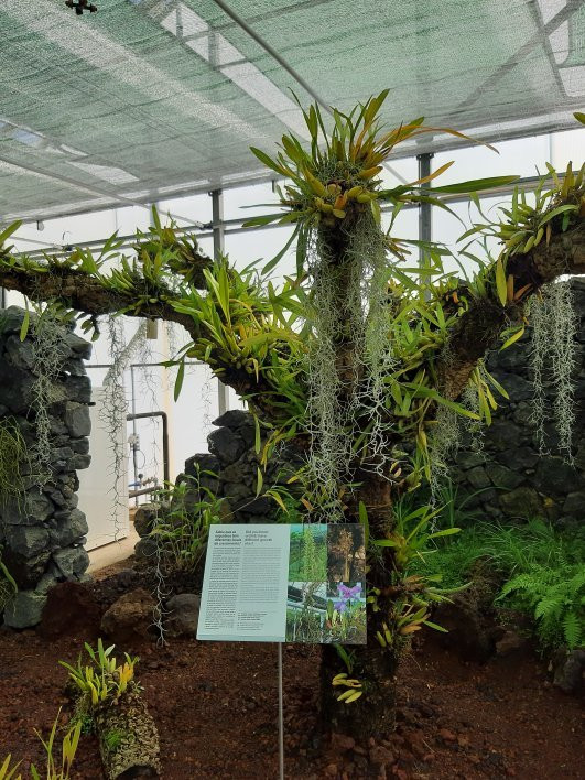 Faial Botanic Garden-奥尔塔必去景点