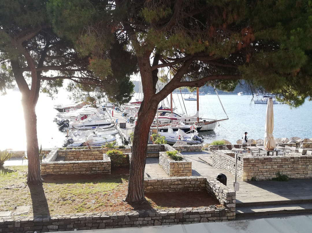 Locanda La Lucciola主图