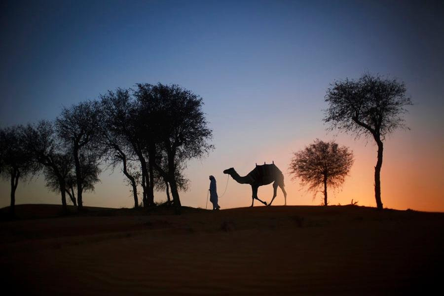 Equestrian Center at Al Wadi Desert-哈伊马角必去景点