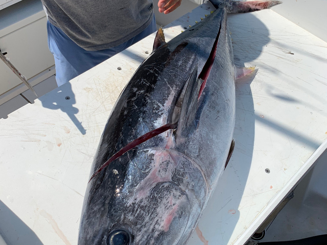 Legacy Fishing Charters-自由港必去景点