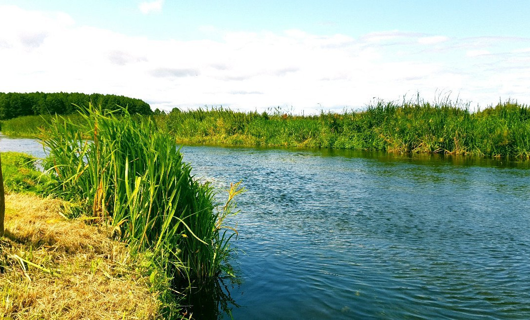Dolina Biebrzy - Ośrodek Agroturystyczny