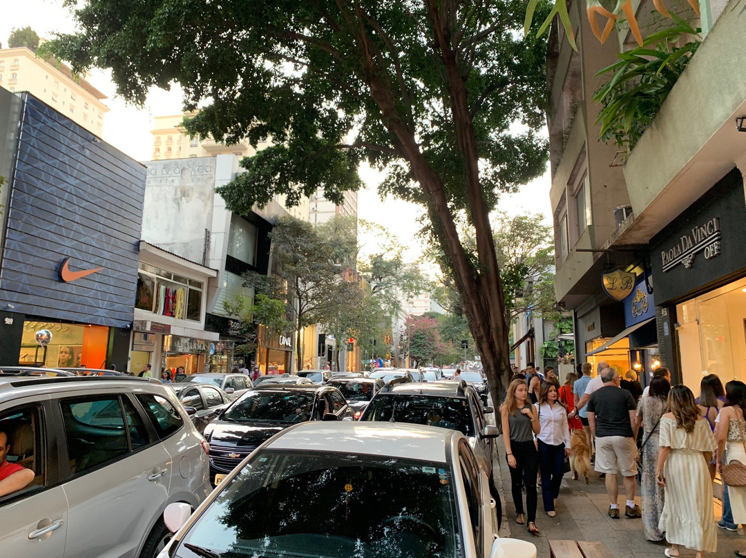 Rua Oscar Freire Shopping Street-圣保罗必去景点