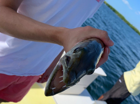 Captain Charlie-大开曼岛必去景点