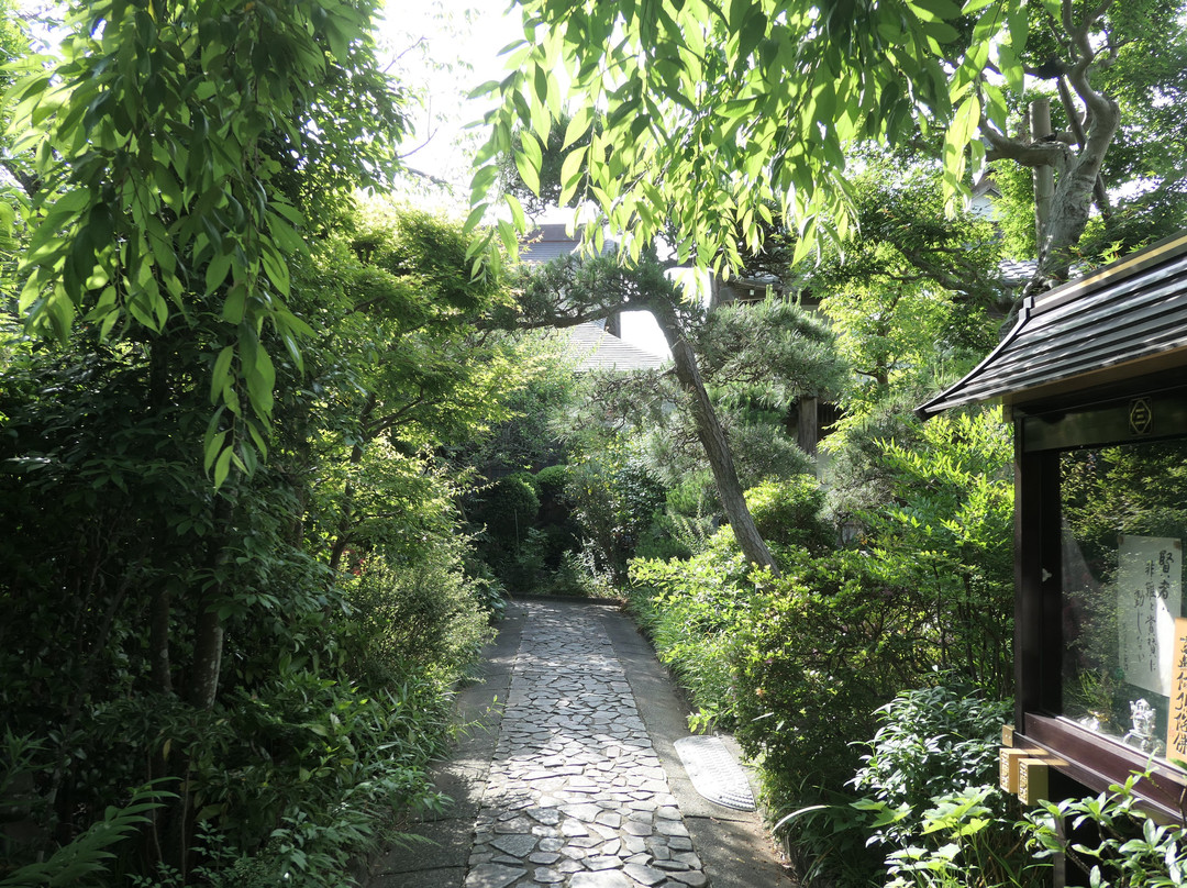 Koshoji Temple-镰仓市必去景点