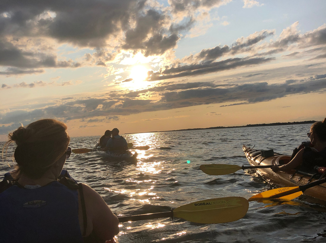 By The Sea Kayaking-Victoria必去景点