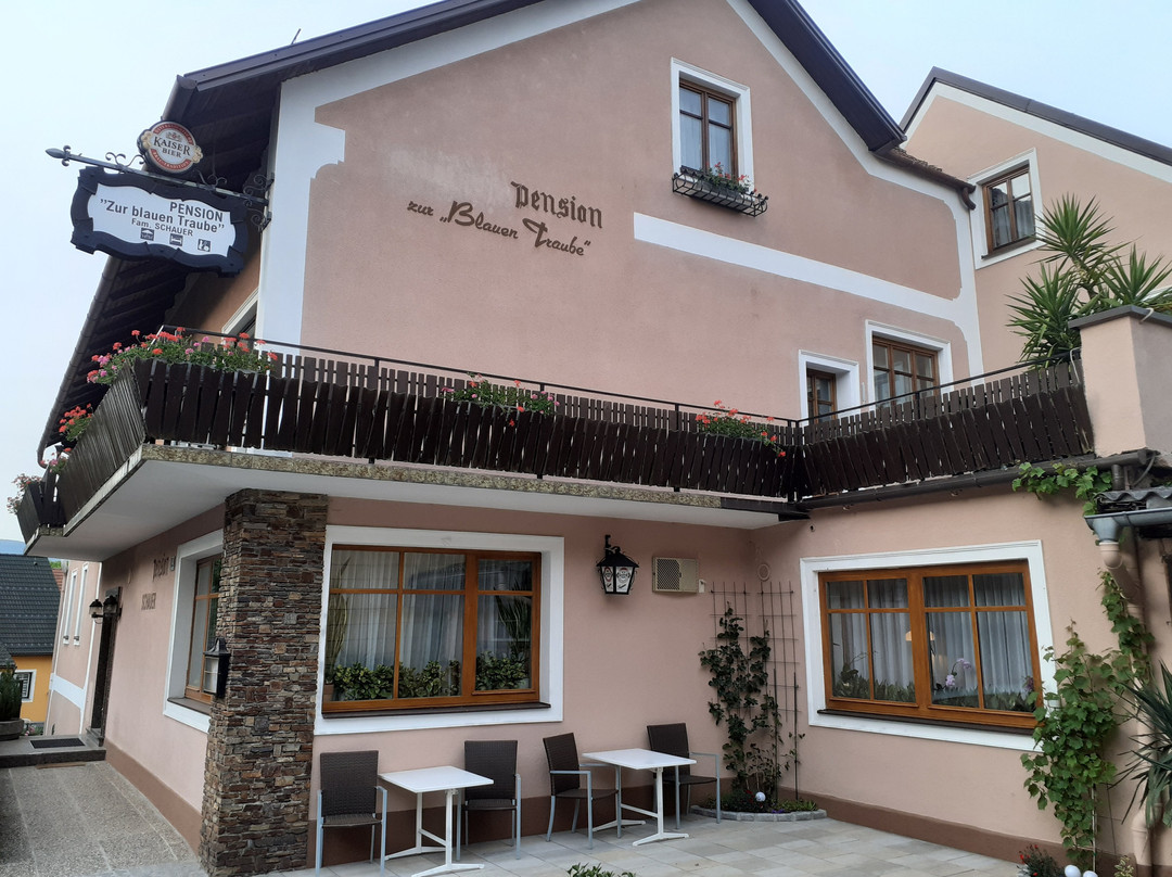 Landgasthof zur Blauen Traube主图