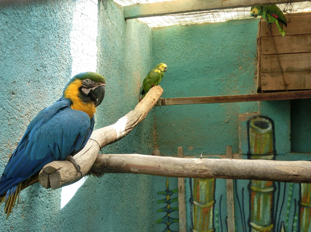 Parque de las Aves Agroflori景点图片