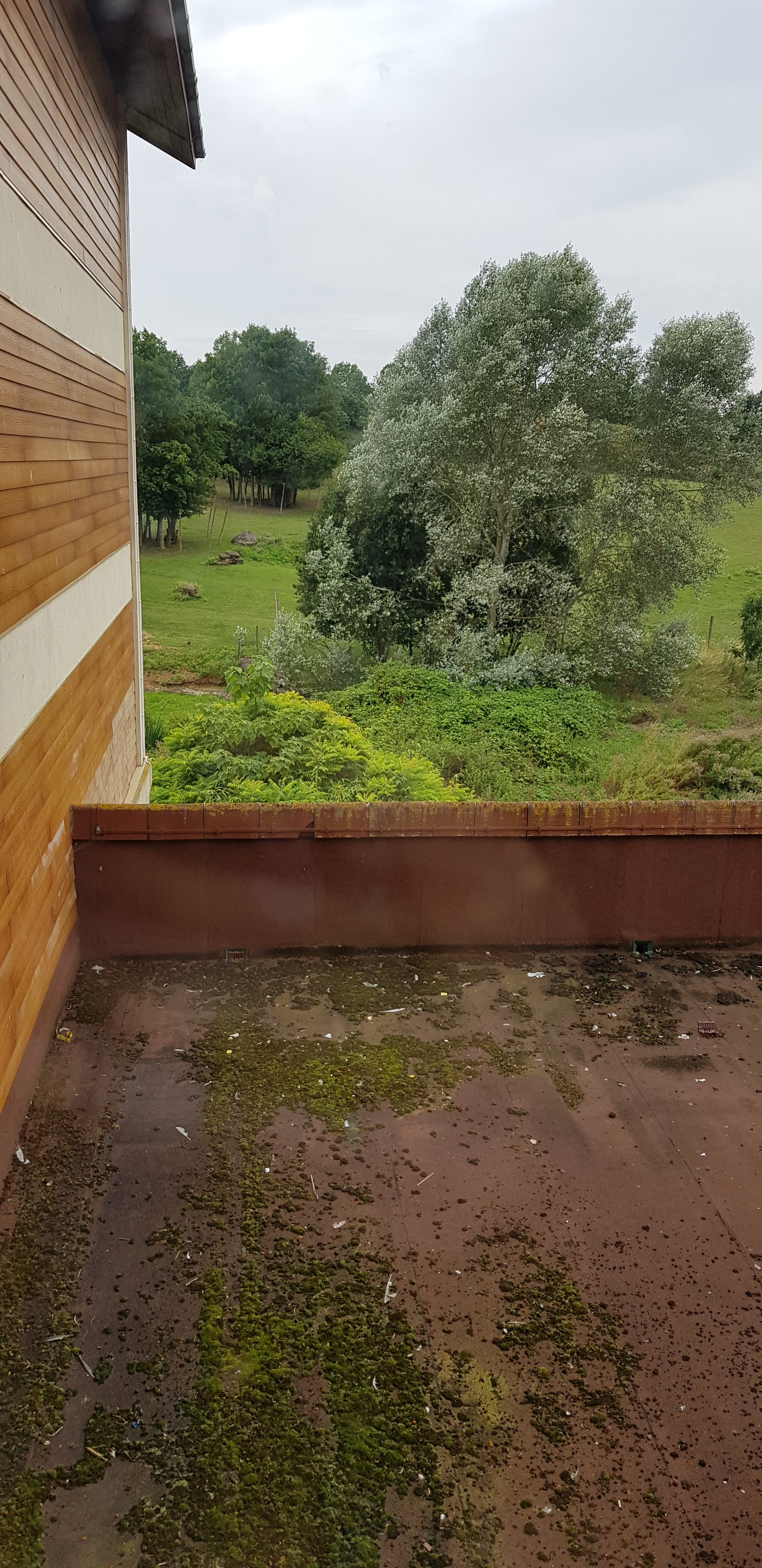 Chessington Safari Hotel-官方