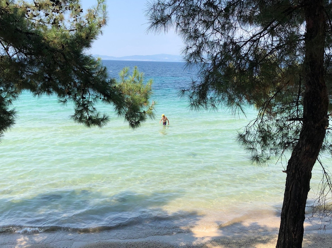 The Boutique Louloudis主图