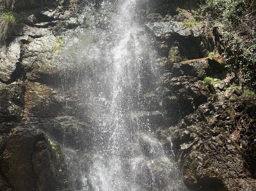 Caledonia Waterfall-帕拉翠斯必去景点