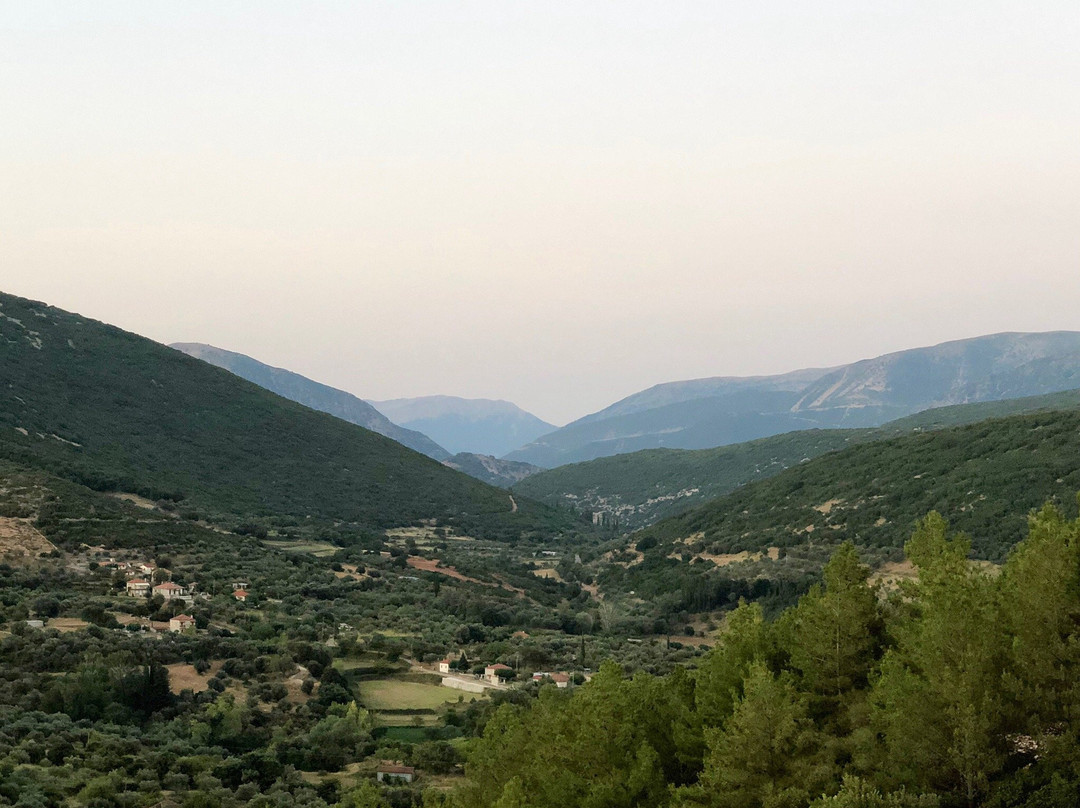 Thermios Apollon主图