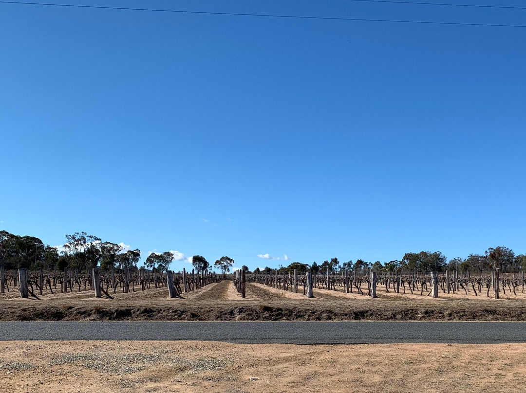 Stanthorpe Tours景点图片