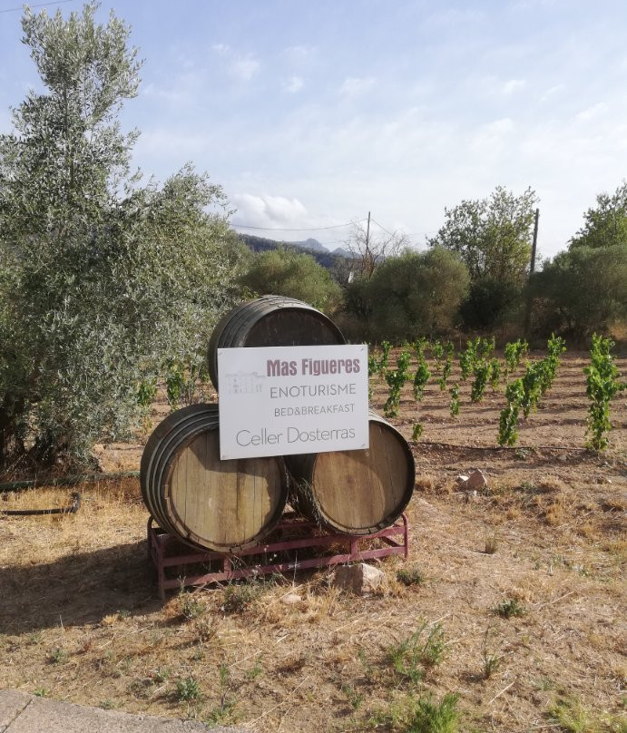 Hotel Dosterras主图