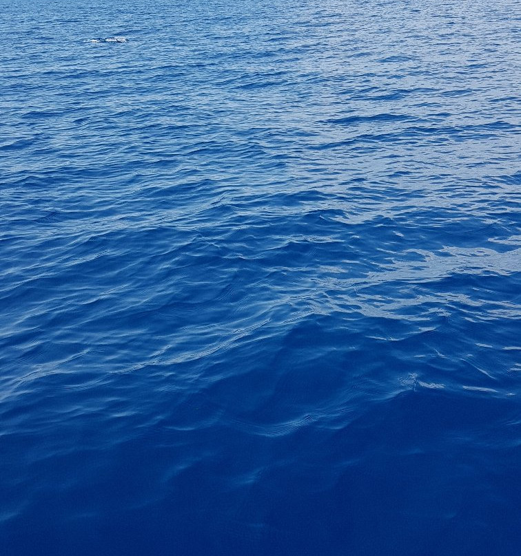 Porto Canale-Marina di Ginosa必去景点